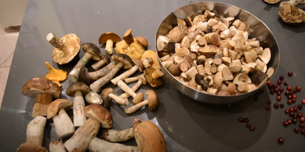 01d904775b1b873ac51fb2930c1f76d1