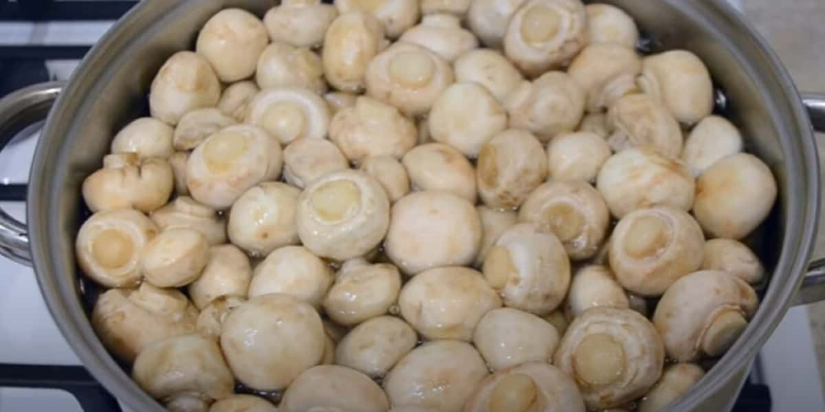 Мариновані печериці на зиму - дуже вдалий рецепт 9 1af8b82b1628523bf062f88fcdda42a5