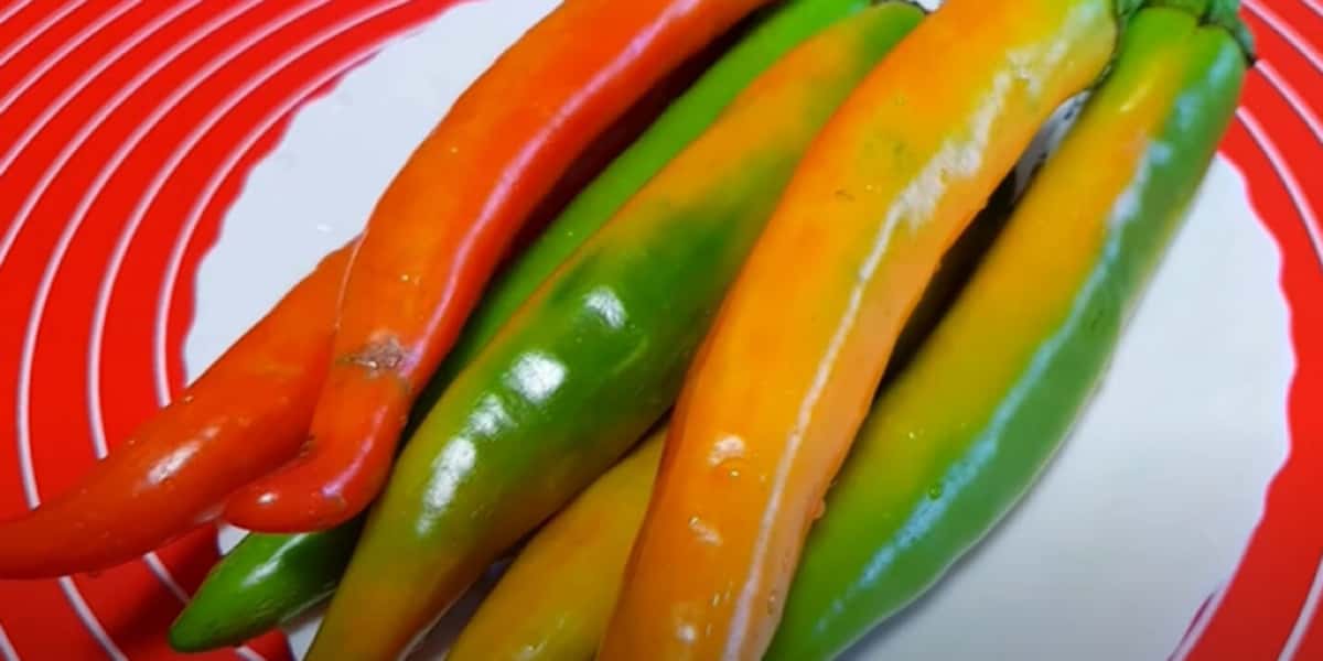 Я консервую 20 банок щороку! Пікантний соус з помідорів і перцю на зиму 9 25ebaa60a2a135463dc234a152835b92