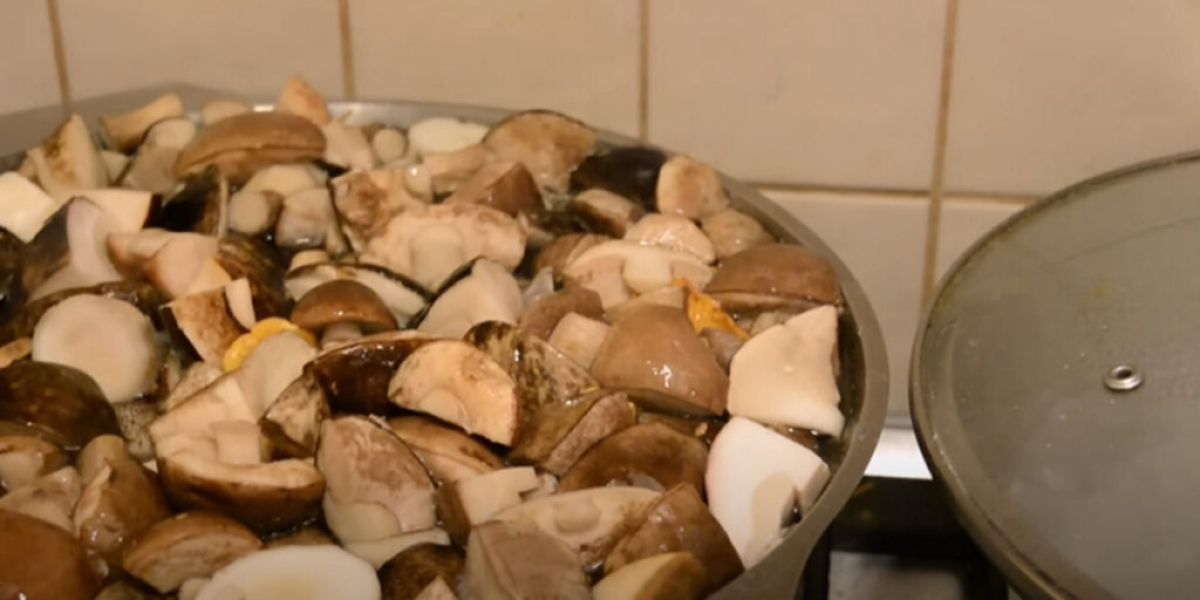 598434c554ffcad1c4393c64aa7df042