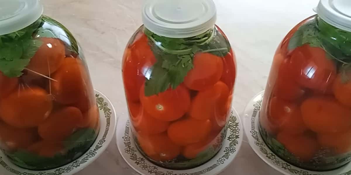 613a2325fc8919445109354ea6838691