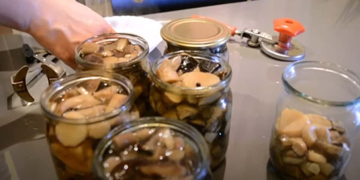 635e9bad369dfce180c2c046b9c5f8e3