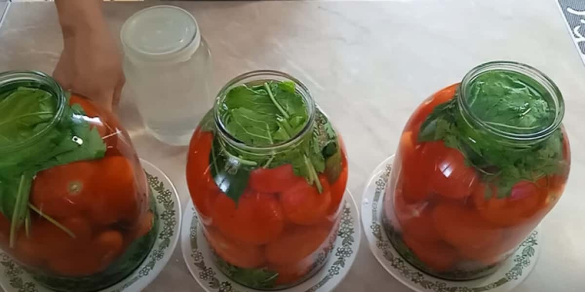 7bd4478b4747f4de2675369fa164dcc7