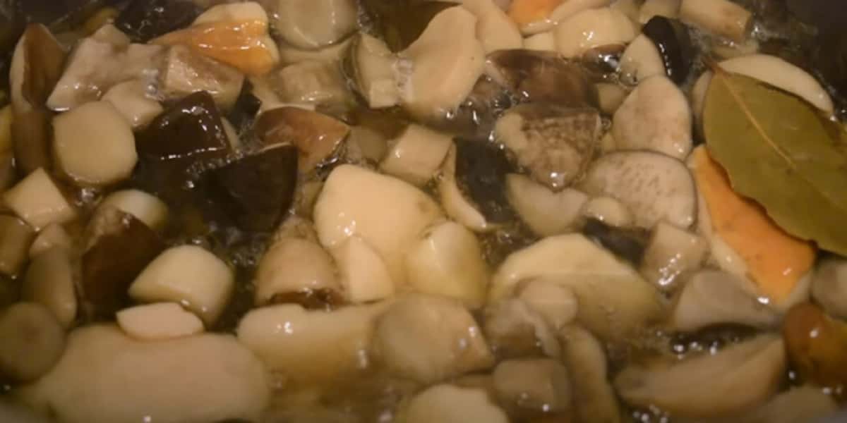 90b33858d6eba94cb222a951b2c8d6fd