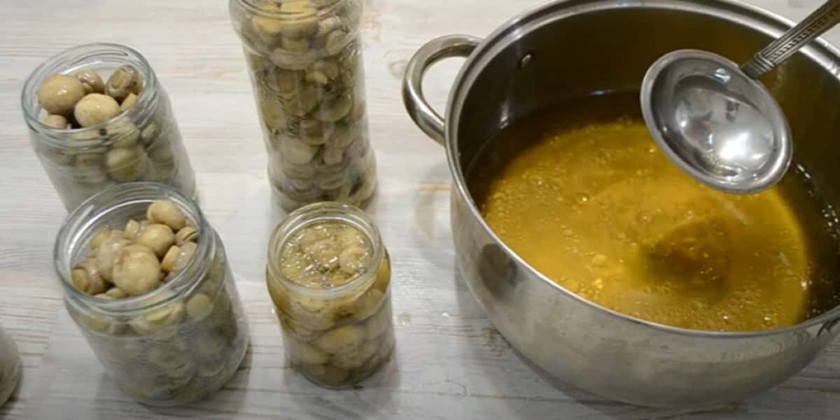 9ae1f8b8756312e9c165890d7e39fa06