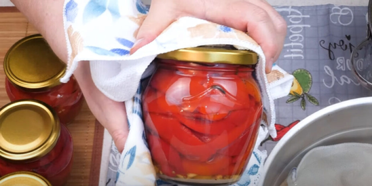 a8c318b22bea02bbc602521844f0d513