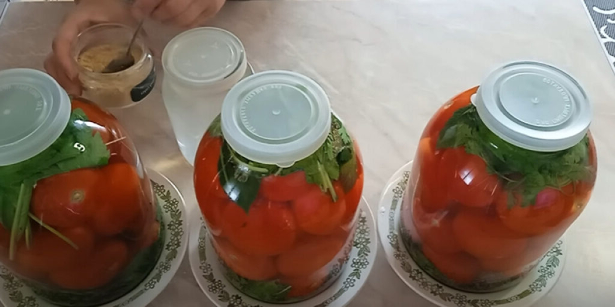 a9b104e7d3a7446ed8d430f678d2cc13