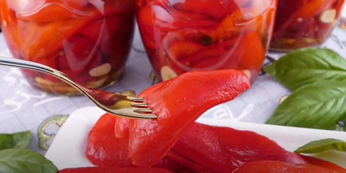 ab81a73e920e3e9023022472c550385c