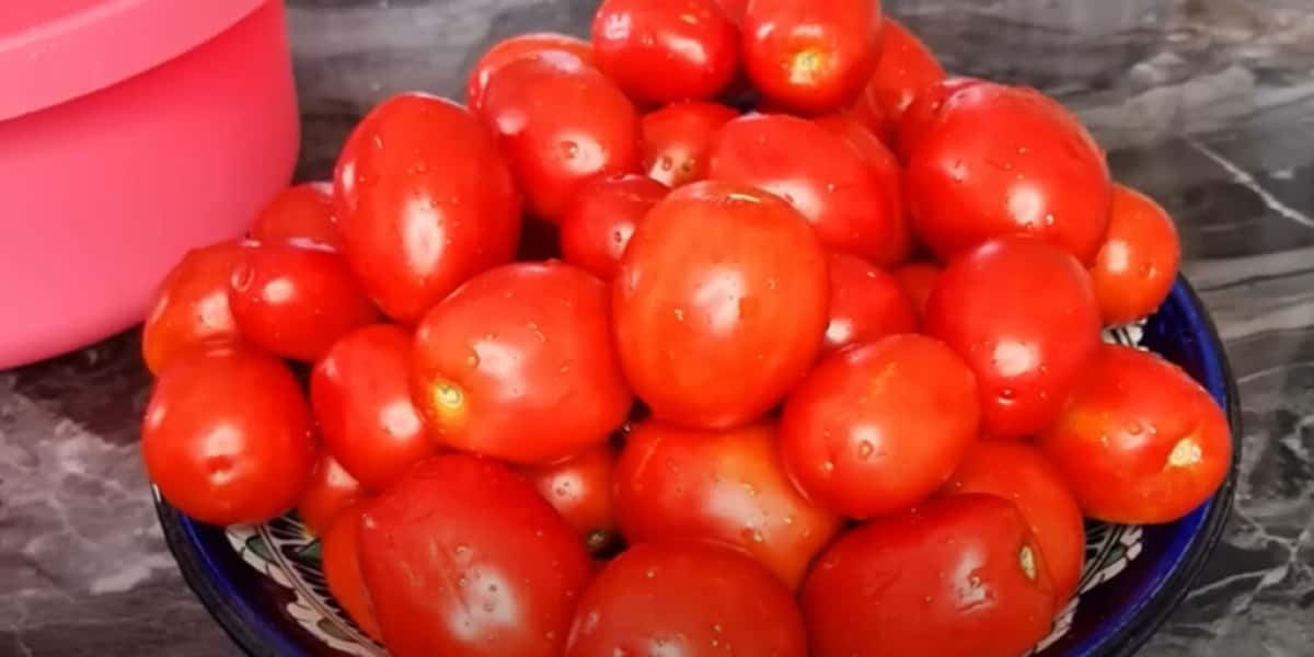 b484f6e9a1c144da033fa3e9b28b5169