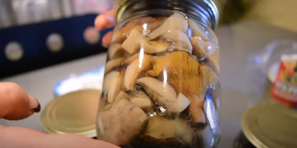 d5efb46c834c82f0e376ddfb785e38e3