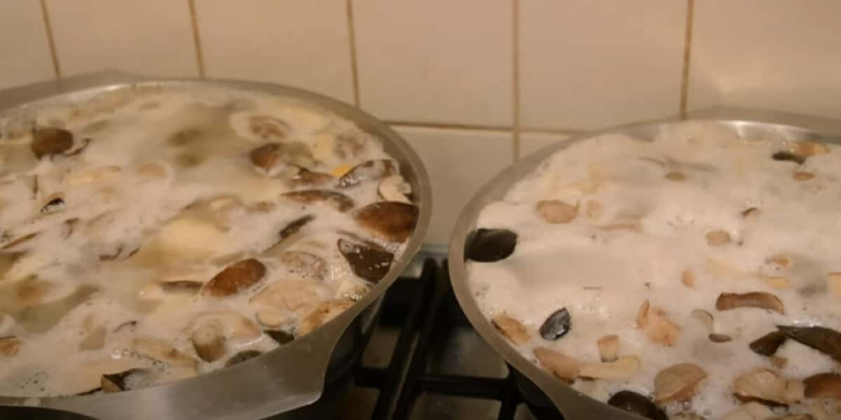 e4222789a8e93ba2d352ac8a850cc201