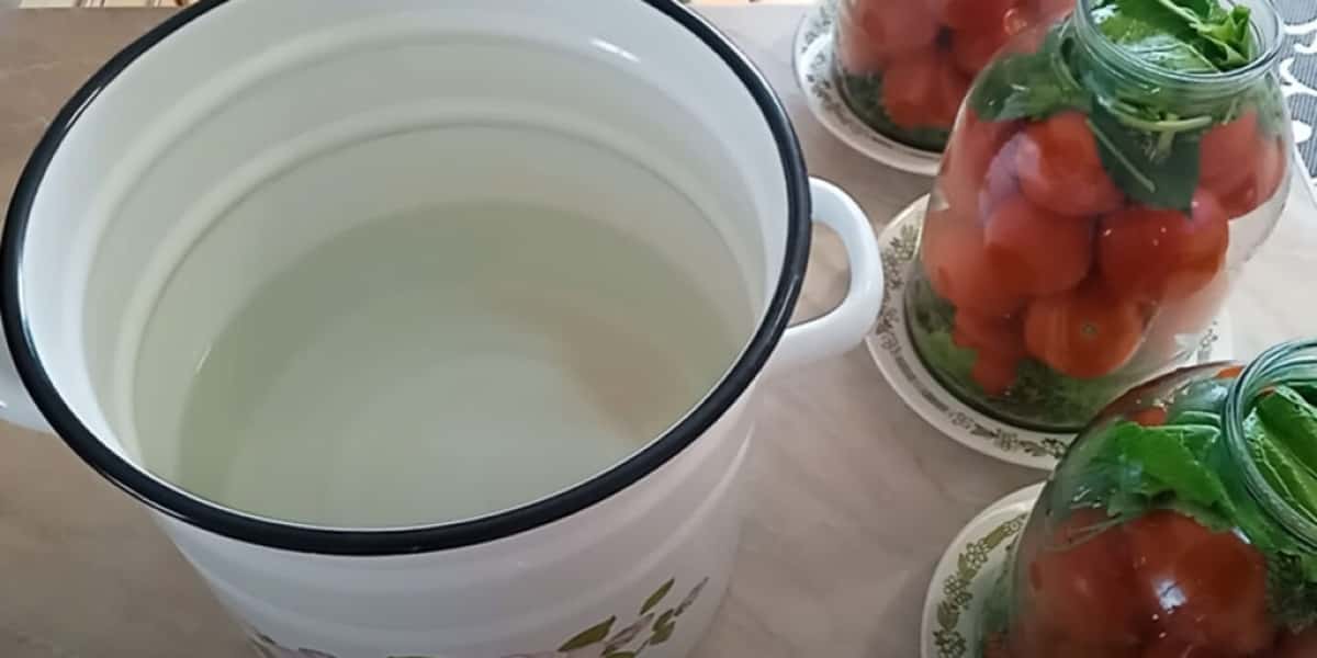 f1f881158ac6969a9a31234ca3e4cb04