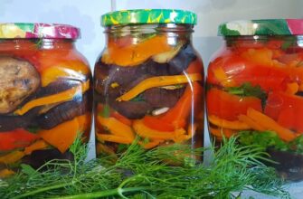 vidminna zakuska salat z baklazhaniv pertsyu i morkvy na zymu