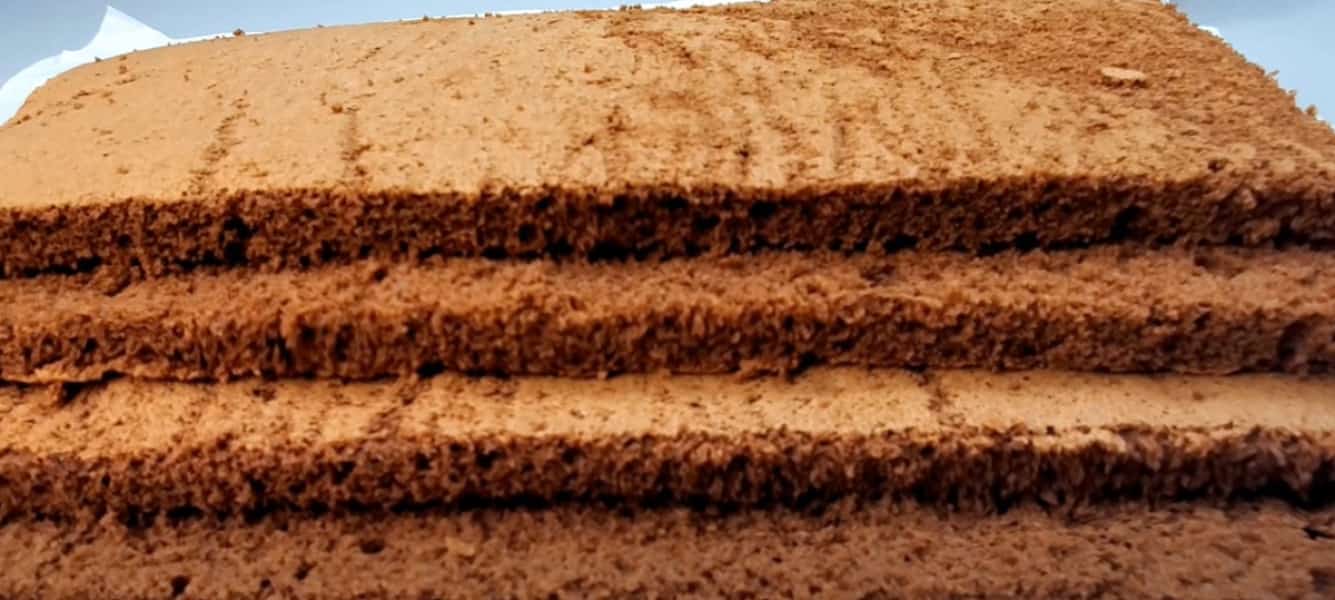 c04bdff423495513fa0c92127e582b0a