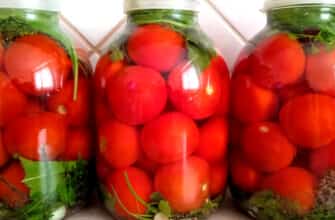 duzhe smachni pomidory yak z bochky