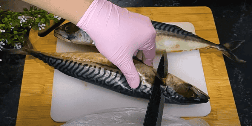 Скумбрія як копчена в домашніх умовах: малосольна риба з чаєм та прянощами