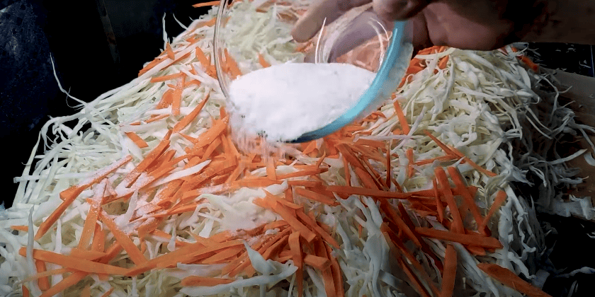 Хрумка і білосніжна, як бочкова! Простий і вдалий рецепт квашеної капусти!