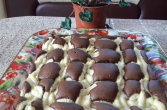 157150391 886005812234916 6686895094888946780 n