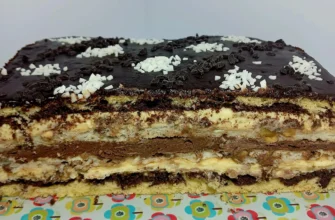 465705791 1723518958433504 1385592613171850018 n