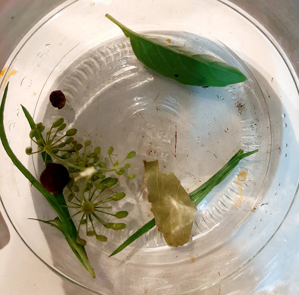 23aef6edb9d6b719ef0a8c5916b6e073