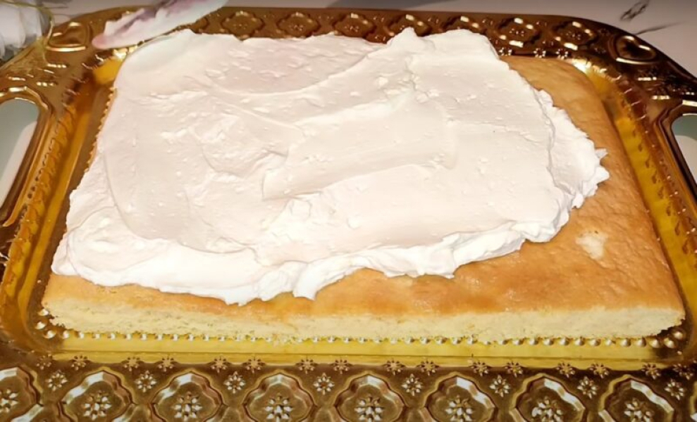 2c4116b28c61712fdcbcf9b48b99c0fa