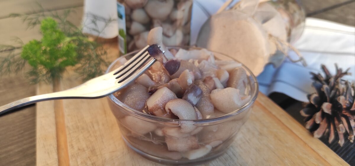 Таких ви напевно ще не пробували: мариновані маслюки за особливим рецептом, ділюсь покроково з фото 22 4a291b1f40bf3b013e35cdd8fa56618c