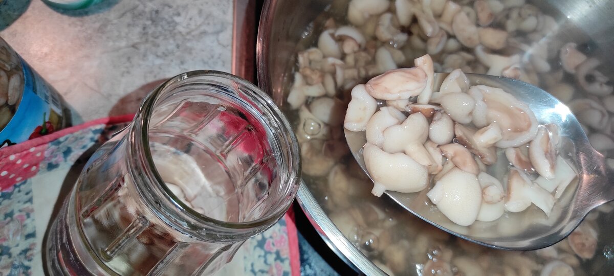 Таких ви напевно ще не пробували: мариновані маслюки за особливим рецептом, ділюсь покроково з фото 33 504c26a4475e76df961c963150c65ab8