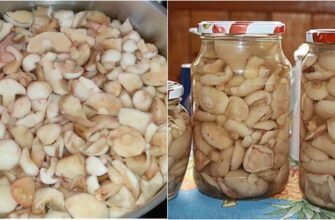 52e4ff70a80039265df022281ff5331c