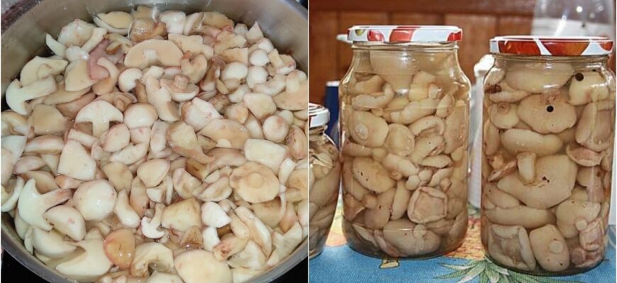 Таких ви напевно ще не пробували: мариновані маслюки за особливим рецептом, ділюсь покроково з фото 1 52e4ff70a80039265df022281ff5331c