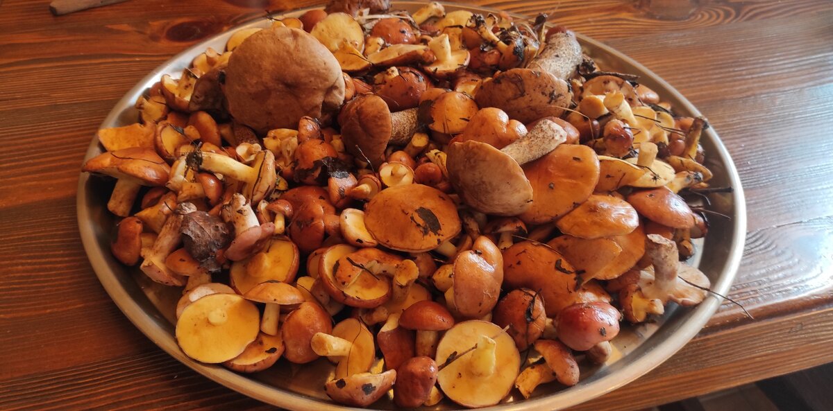 Таких ви напевно ще не пробували: мариновані маслюки за особливим рецептом, ділюсь покроково з фото 23 558eafa5a9f1bd5e22e5c1aa963020e4