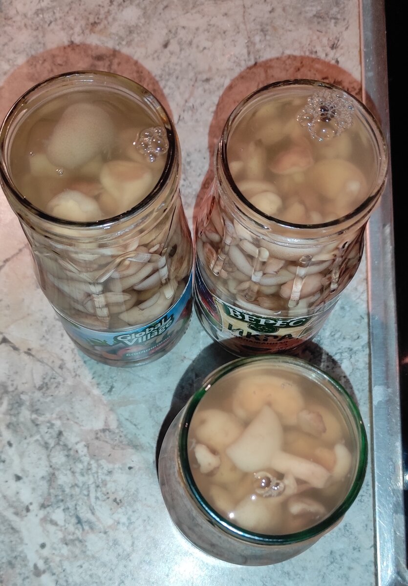 Таких ви напевно ще не пробували: мариновані маслюки за особливим рецептом, ділюсь покроково з фото 34 8ef613055a2c2ac892b57b97f6cc42dd