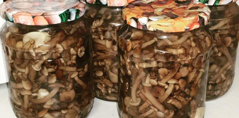 92f53d9654ce3afffe99f3a212ab1ea2