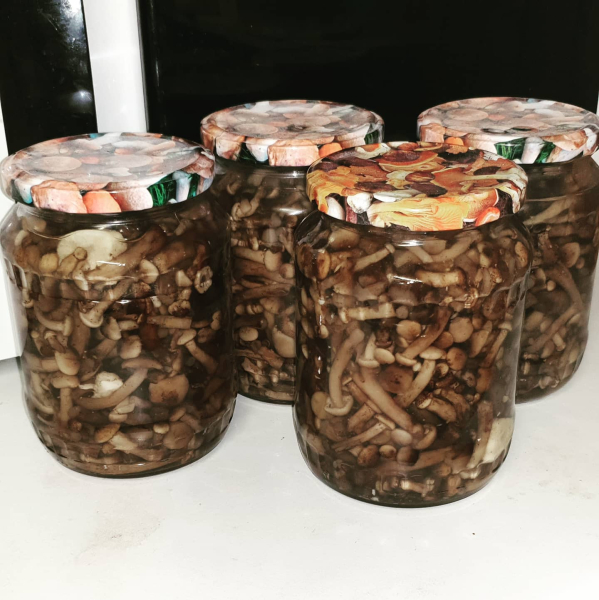 ea2fe3905806405d86a6ea6914f09182