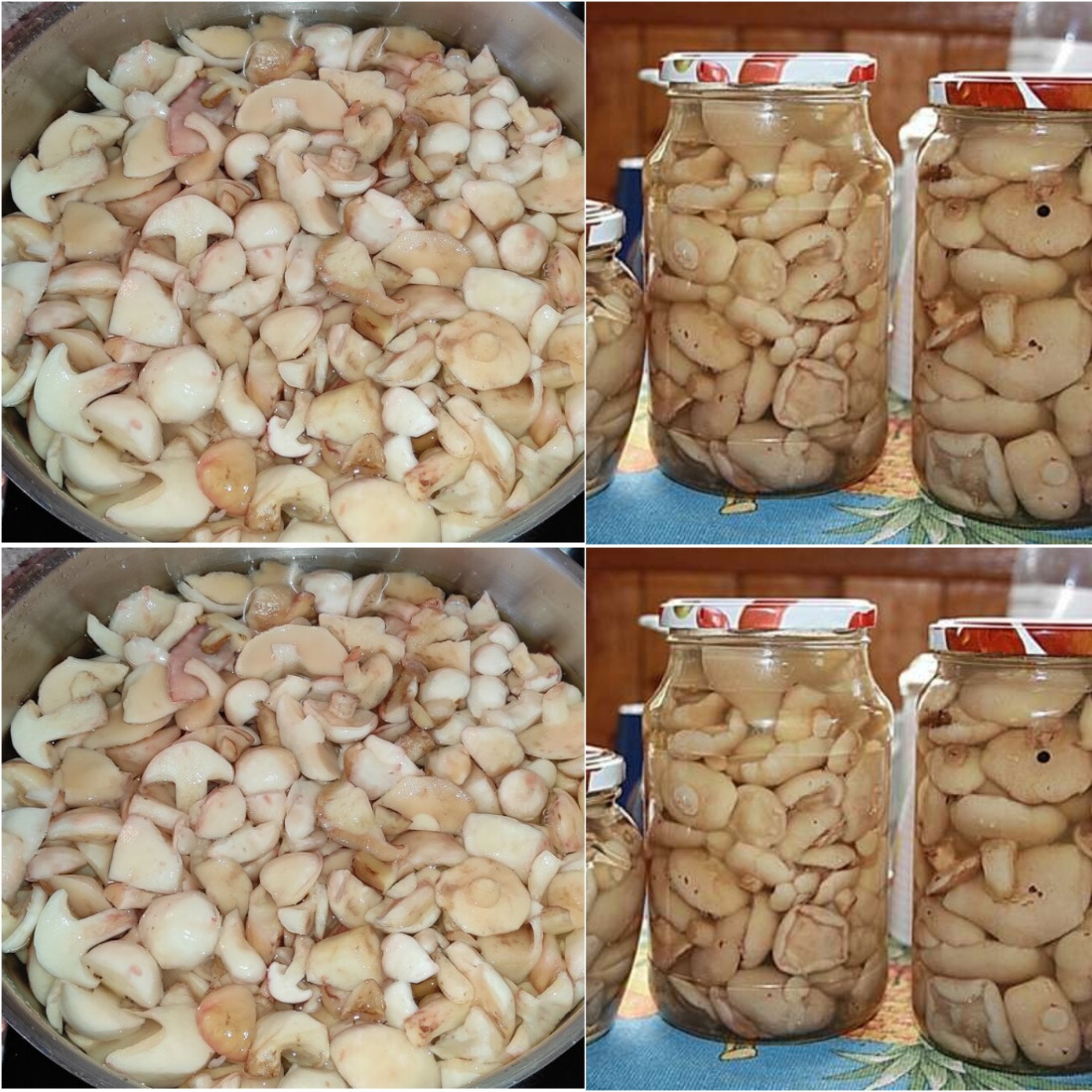 Таких ви напевно ще не пробували: мариновані маслюки за особливим рецептом, ділюсь покроково з фото 37 Таких ви напевно ще не пробували: мариновані маслюки за особливим рецептом, ділюсь покроково з фото