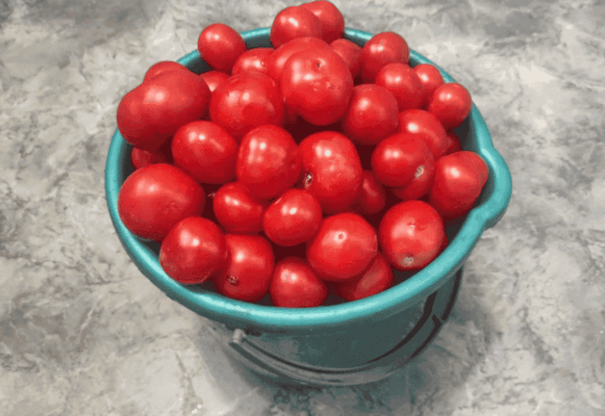 82173b5b5e50ca2fb28f342f4e389b0d