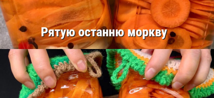 559470334 792644460180761 8539069923692921706 n