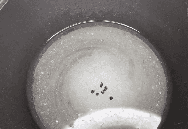 Солодкий перець на зиму: перепробувала багато рецептів, а краще цього не знайшла, тут все в міру – виходить неймовірно смачно 20 c2f775d7e97424087514e0c8e61c7500