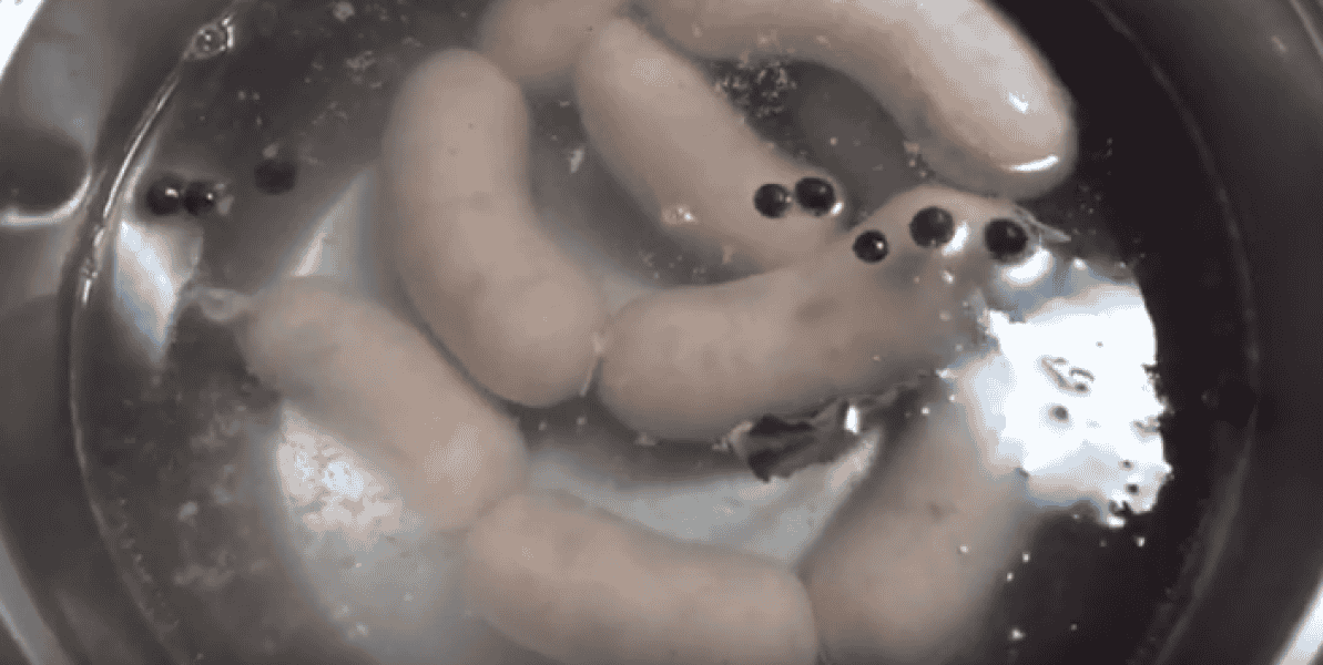 d1cd3ae6072a35292687c9ce8fa06d72