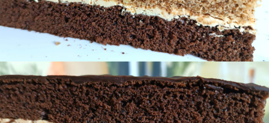 collageeditor.com 1768562461337