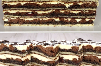 collageeditor.com 1769092715618