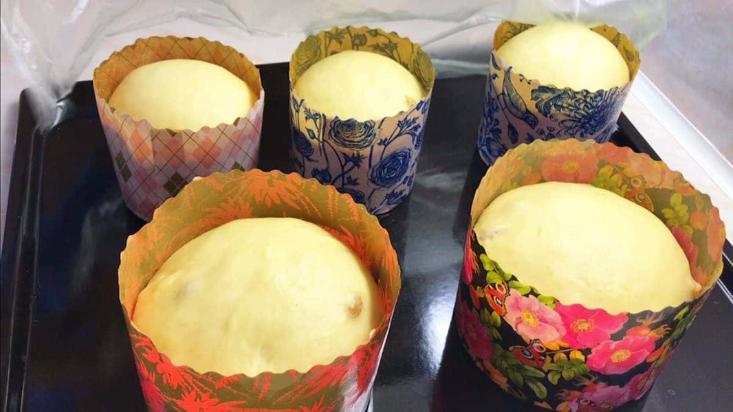 737fa959734a414f045c13373b603cef