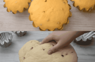 collageeditor.com 1772785048014