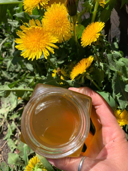 065ba04b20fb03ef40f664b52c0411a1