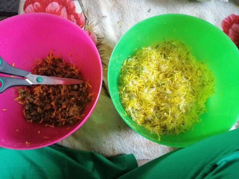 1af066890852c51f9abebb8a5b00c3bf