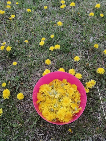 329624664b3c473eca73e7d49c4e187d