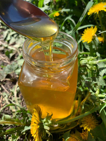 339d42fa276516fe657f2f734e6d3a17