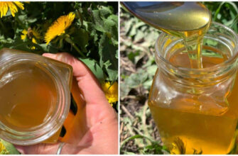 526624332d683d1be4b35046e33f1673