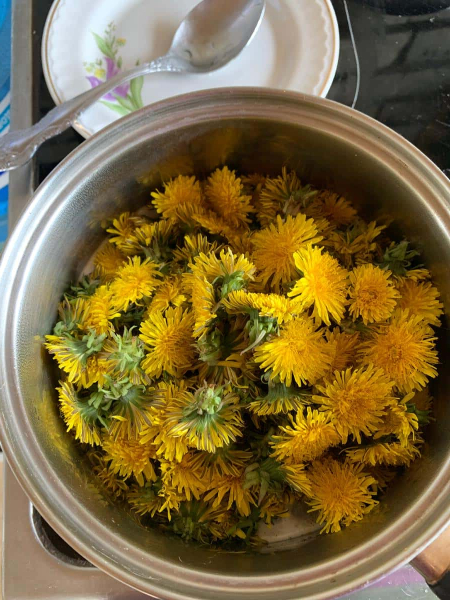 56153ded2cb69e17bae22654e4d4044a