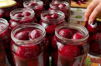 fb malenki buryachky nikoly ne vykydayu a hotuyu z nyh idealnu zahotovku na zymu taki marynovani buryaky pidhodyat dlya vsoho chy do salativ chy yak zapravka 13120