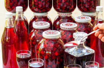 fb aromatna vyshneva nalyvka nayprostishyy retsept domashnoi nastoyky z vyshni na horiltsi 23446